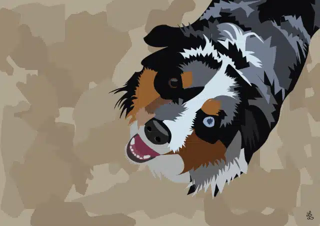portrait d'un chien sur la plage