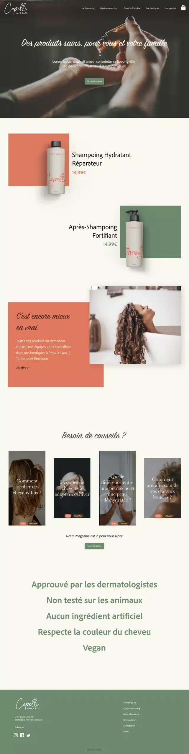 webdesign de la page d'accueil du site capelli