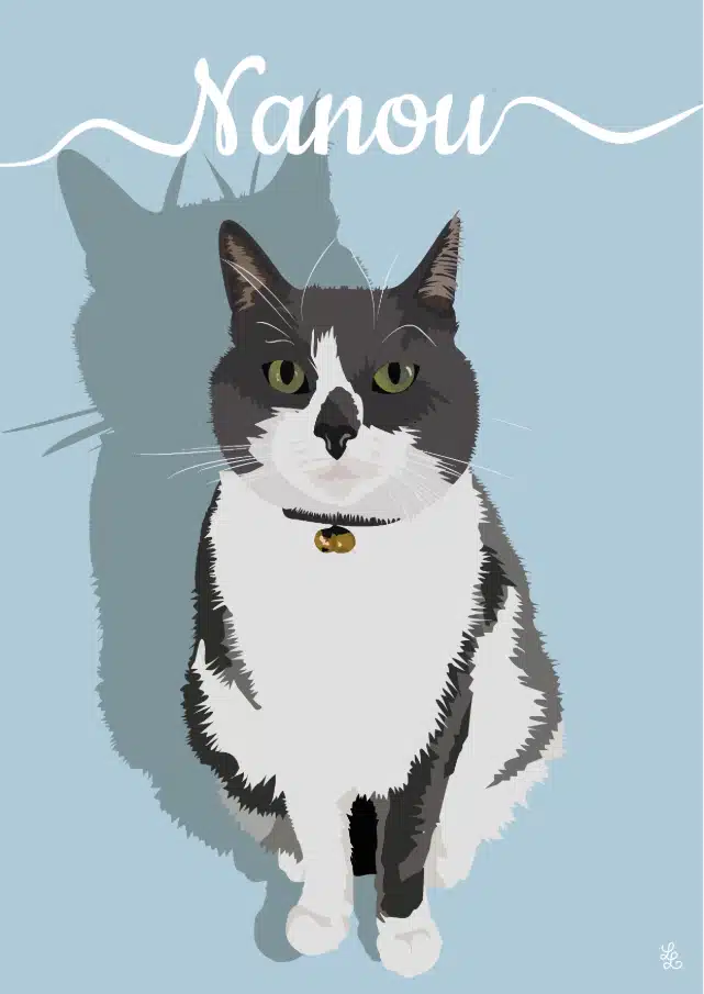 portrait d'un chat gris et blanc