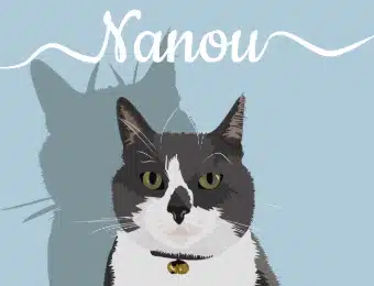 vignette d'un portrait d'un chat gris et blanc