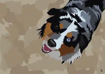vignette d'un portrait d'un chien sur la plage